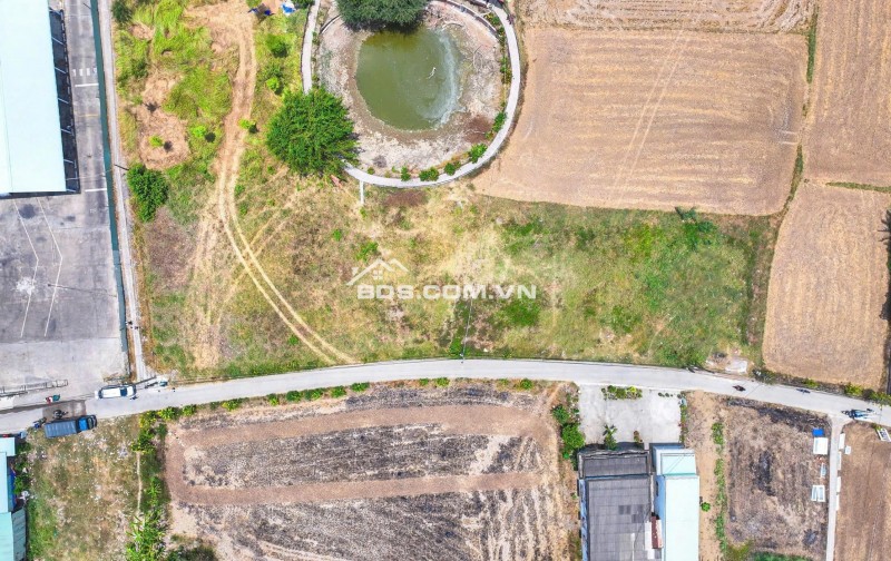  BẾN LỨC – LÔ ĐẤT HIẾM NGAY TRỤC QL1A | GIÁ TỐT ĐỂ XUỐNG TIỀN NGAY 